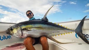 yellowfin-tuna