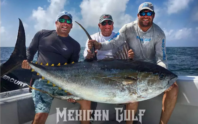 Tuna in the Gulf of Mexico